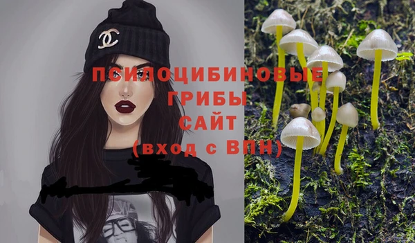 гидра Осинники