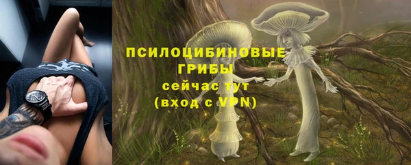 jwh Арсеньев